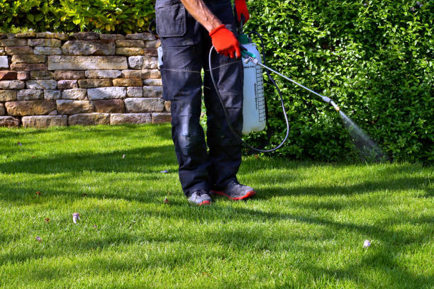 Emergency Pest Control in Colfax, WI